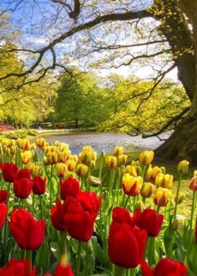 12 ways you can protect the environment