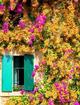 La Camée de la Princesse Voilée 40