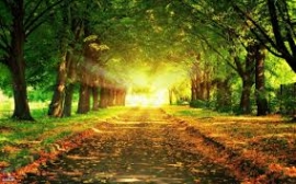 خواطر في الإنصاف وإدارة الخلاف
