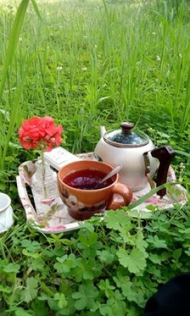 &quot; ولادة قَصِيدَةٍ شَهِيدَةٌ &quot;