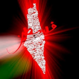 هل لازال هناك من يذكر غزة خاصة وفلسطين عامة...؟