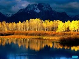 The Return To The Covenant Of The Prophets
