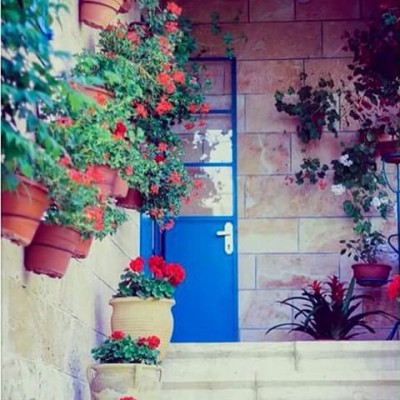 أنتظر منكم أن تحرروا فلسطين