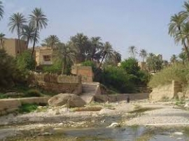 تسع سنوات على رحيل والدي مختار عنيبة  –رحمه الله