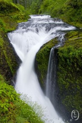 Mokhtar Aniba et la dangereuse dérive des nationalistes Algériens