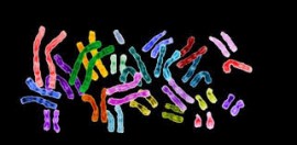 Researchers Perform First Surgery on the Human Genome