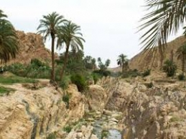 Mokhtar Aniba, le militant sincère