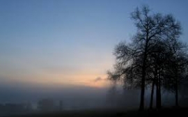 Un nouveau matin