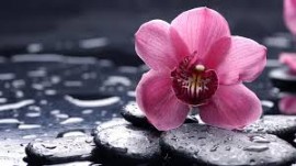 حاجتنا إلى الدعاء