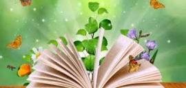 ماذا استقر في وعائي الحضاري من كل الذي قرأت