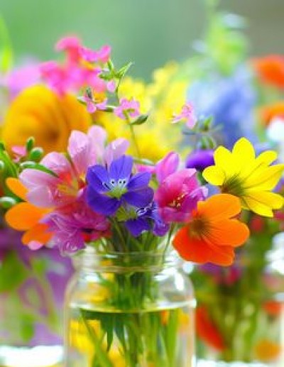 مسرحية الهمز و اللمز