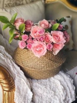 الطالبة الجزائرية التي شوهت الحجاب و الإسلام