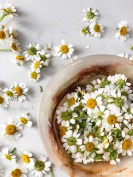 Conférence de presse de Maria Zakharova, porte-parole du Ministère des Affaires étrangères de la Fédération de Russie, Moscou, 1er avril 2021