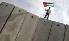 فلسطين المحتلة والعقل الأمريكي