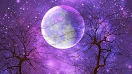 إلام نعتمد أسلوب المنطق التبريري لمواجهة واقعنا المتردي...؟