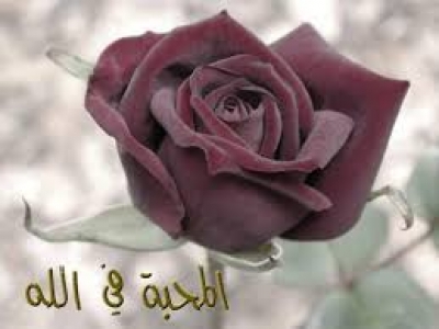 الأخوة الإسلامية  يوتوبيا؟؟
