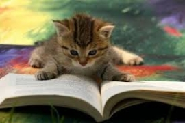The Decline of Book Reviewing