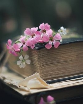 Ayam de Nassérah Nazareth 11