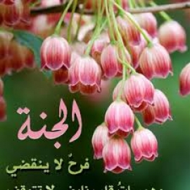 بيت في الجنة